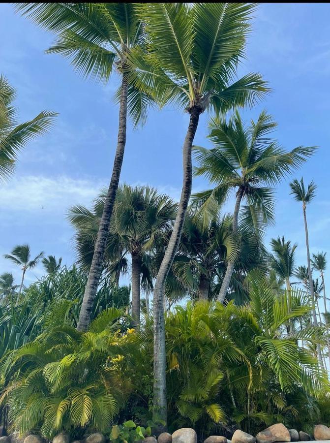 Yonah Comfort Punta Cana, Shared Apartment 外观 照片